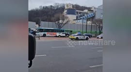 Escaped ostrich runs alongside cars in South Korea