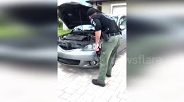 Sergeant Van Pelt Rescues Python from Car Engine in Lehigh Acres, USA