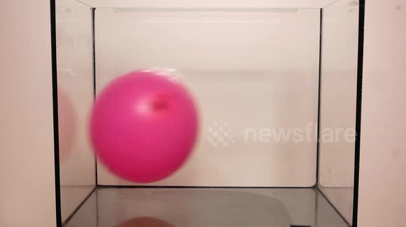 Balloons Flying is ASMR & Oddly Satisfying