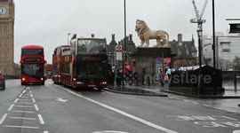 Which of the buses would you take to go home, London, United Kingdom