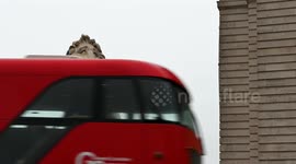 Which out of them all is your favourite London Bus, United Kingdom