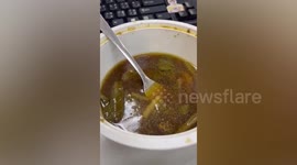 Woman disgusted to find human-looking teeth floating in soup dish