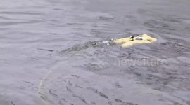 Multi-Agency Effort Launches Operation to Assess Francis Scott Key Bridge Damage in Baltimore, USA