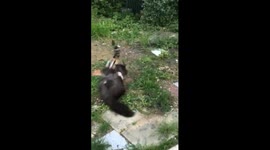 how to defend your territory