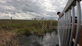 Massive alligator comes in for closer look at a GoPro and TAKES A BITE!