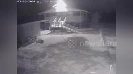 Lightning strikes sheep pen in Thailand