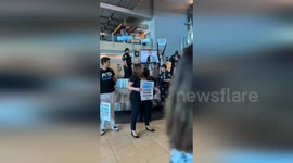 Activists Arrested in Dramatic Stand Against SeaWorld Captivity in San Diego, USA