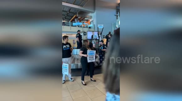Activists Arrested in Dramatic Stand Against SeaWorld Captivity in San ...