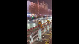 Hilarious dog fight halts traffic in China