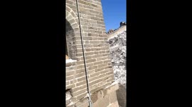 Cat Companions on the Great Wall: Brave Cat Stands Up for Friend in China