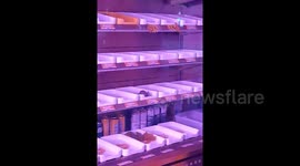 Controversy arises as rats found in Chinese restaurant's refrigerated display case