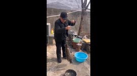 Playful Chinese Cat Rescued After Getting Itself Entangled In Rope