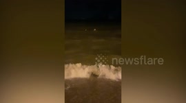 Australian karate instructor, 58, 'in coma' after smoking cannabis then drowning on Thai beach