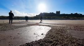 Huge 100ft tribute to Sycamore Gap Tree marks six months since it was felled
