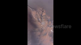 Tidal Tree Reveals After Fading of the Qiantang River in Hangzhou, China