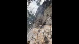 A man hangs on a rocky cliff tens of meters high to get honey bee