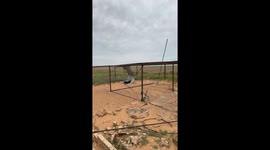 Owl Taking Flight Gives Guy a Fright