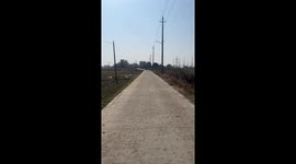 Loyal Rural Dog Chases Far From Home To Find Owner in China