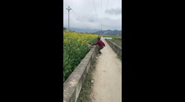 Father's Quick Reflexes Save Child from Fall in China