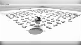 Beak-chain! Birds have 'cryptocurrency style mental barcodes' to remember where they stashed food