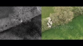 Heat-seeking drone finds two missing puppies huddling under a tree