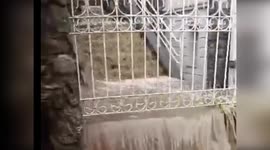 Flooding and Landslides Hit Val Camonica, Italy