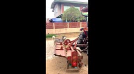 Pet husky joins farmer on the back of his tractor