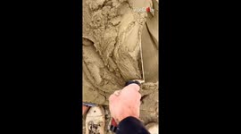 Bricklayer woos TikTok viewers with a satisfying display of muck-spreading