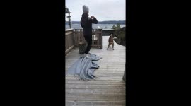 Hide &amp; Seek shenanigans at large as woman's playful trick leaves pup in confusion