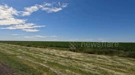 A corn field in Wilson County Texas near the community of Floresville during the spring planting in 2024