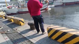 Taiwan earthquake causes sea to retreat at fishing harbour
