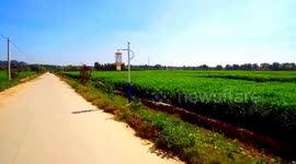 Ginger industry in E China goes smart, global