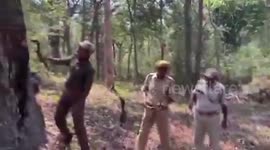 Forest officials stunned as water gushes from tree in Joharapuram, India