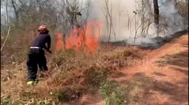 Firefighters Descend on Sacatepequez to Combat Forest Fire in Sumpango, Guatemala
