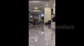 Puppy is fond of using all four legs to hop along at the same time in Shenzhen, China