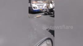 Leopard cub rescued after being hit by vehicle in south India