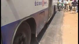 Leopard cub hit by vehicle as it was trying to cross road in Bengaluru, India