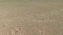 Pastures in north China begin grazing moratorium for grass rejuvenation