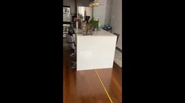 Measuring Cat's Crazy Long Jump