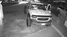 Mechanic startled by barking dog topples off vehicle