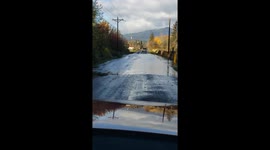 Motorist halted by salmon wriggling across partially submerged road in Washington