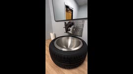 Gear up for style! custom sink features car tire base and gearshift faucet
