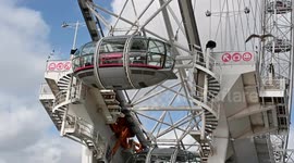 Beware of the seagulls when near The London Eye, United Kingdom