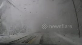 Police car engulfed in snow from falling tree in Maine