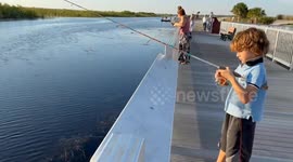 Kids personal best fish gets smashed up by a massive alligator