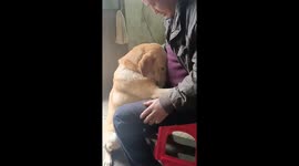 Chinese Grandfather Comforts Frightened Dog Amidst Festive Firecrackers