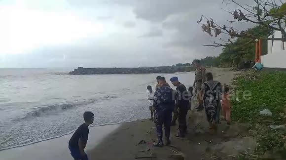 The police guarding the Padang beach released the turtle back into the sea because it had been stranded