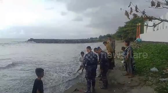 The police guarding the Padang beach released the turtle back into the sea because it had been stranded