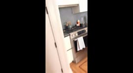 Queens, NY resident captures shocking earthquake moment