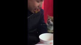 Chinese Man Shares Delicious Skewers with Stray Cat